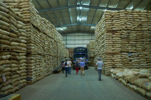 Coffee storage in a warehouse